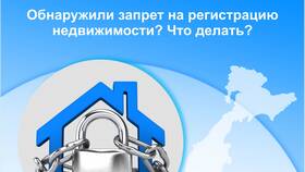 Что такое запрет регистрационных действий на автомобиль в Аптека Классика