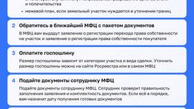 Как проходит продажа земельного участка через МФЦ в Аптека Классика