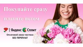 Как работает Яндекс Оплата Сплит в Аптека Классика