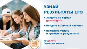 Как узнать результаты ЕГЭ на Госуслугах в 2025 году в Аптека Классика