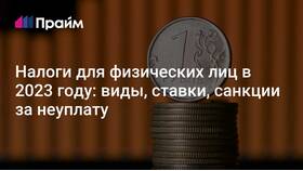 Налоговые платежи: определение и характеристика