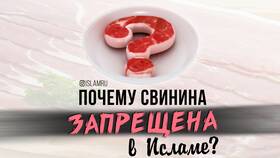 Почему у мусульман свинина под запретом в Аптека Классика
