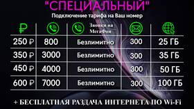 Стоимость услуги Wi-Fi от МегаФона в Аптека Классика
