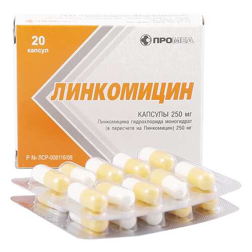 Линкомицин гидрохлорид капсулы 0,25 г 20 шт. в Аптека Классика